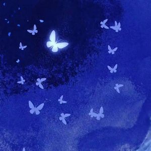 无码视频一区二区三区
